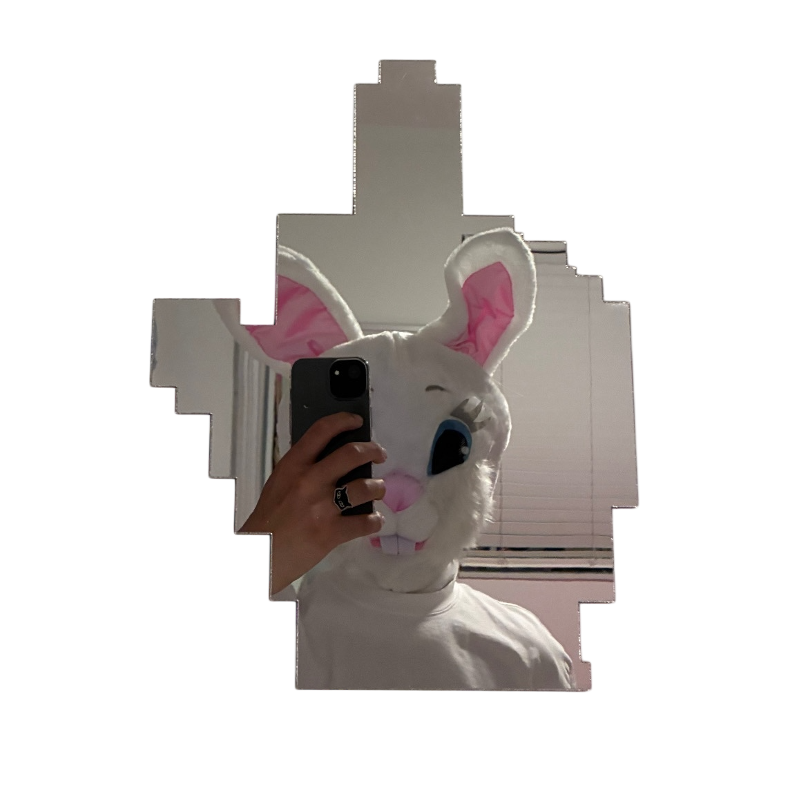 DEADERRORS F*CK YOU MIRROR